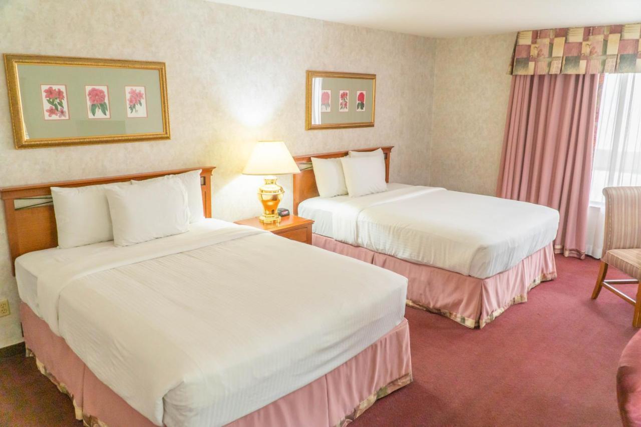 Queen Room Two Queen Beds